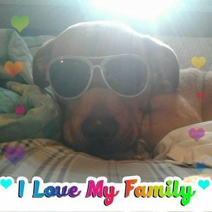 Meet your Posher, Marcia